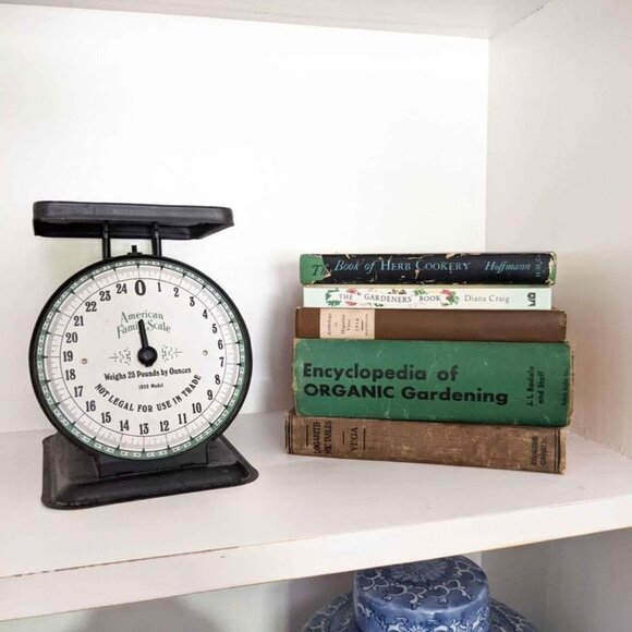 Vintage Rustic Black American Family Scale 25lb Model 1906 general store vintage - Picture 7 of 7